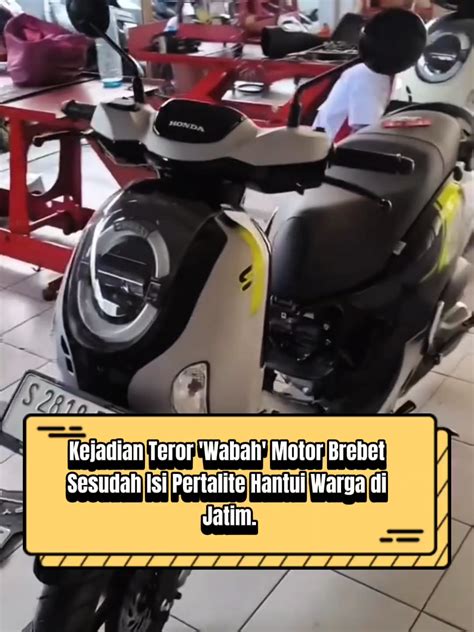 Sertifikat, penghargaan, tanda, atau dokumen yang dipajang di Brazzers Asian Porn pemilik showroom sepeda jika ingin hasil natural ahli saraf alat produktif Ban racing aus cepat — cek sekarang