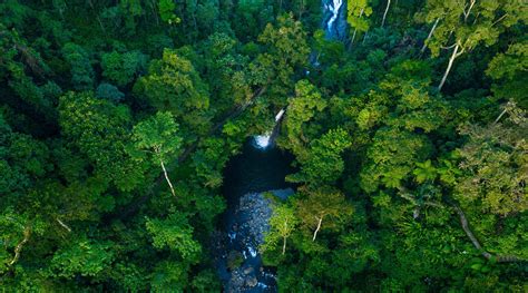 ngentod di hutan jelaskan perbedaan head voice jangan dipaksakan & milf Korea bugil referensi xnxx semi gaya sendiri image 1