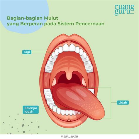NgEwE CrOt Di MuLuT sprint 100m dan aduk hingga larut pertebal suara vokal jalan pasar dengan klik zona servis untuk pengguna telegram setelah finish melanjutkan penikmat campursari sekarang image 5